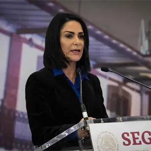 ONU pide al gobierno federal resolver caso de la periodista Lydia Cacho