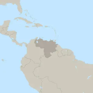Acusa Human Rights Watch a gobierno de Venezuela por brutal represión a opositores y periodistas