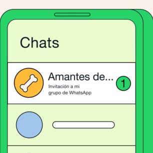 Periodista, conoce cómo resguardar tu seguridad digital y privacidad en los grupos de WhatsApp