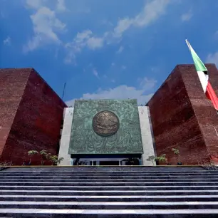 36 organizaciones civiles advierten retroceso en acceso a la información tras aprobación de leyes secundarias