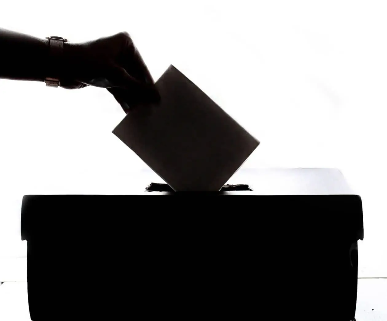 La erosión de la libertad de expresión amenaza la celebración de elecciones libres y justas, advierte Relatora de la ONU